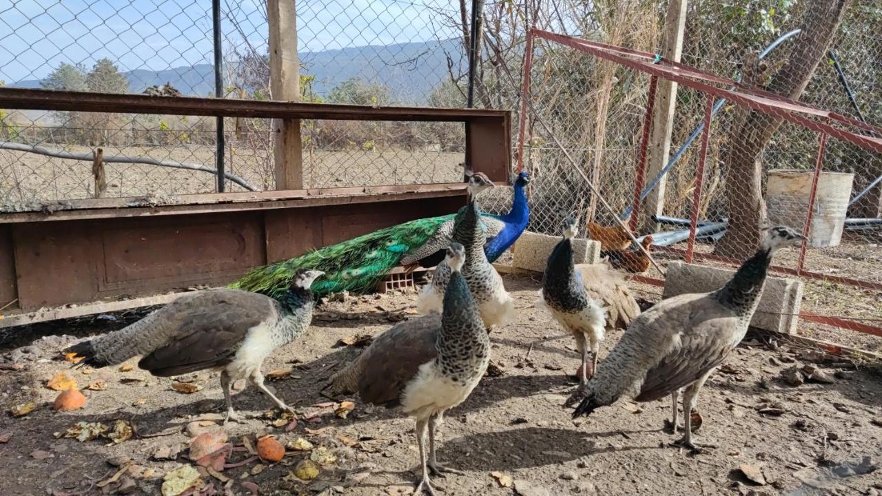 فيلا La Perle D'Ifrane أزرو المظهر الخارجي الصورة